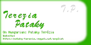 terezia pataky business card